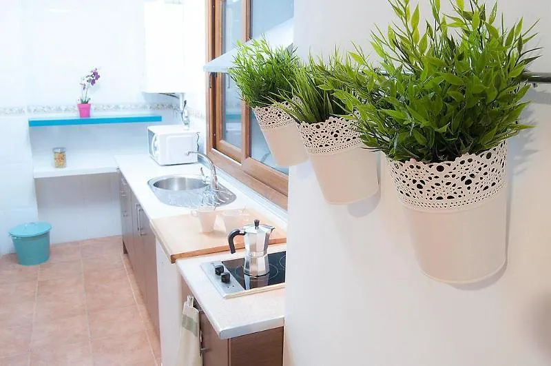 Apartamentos Catedral Plaza 3000 Granada